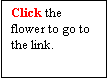 Text Box: Click the flower to go to the link.