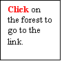 Text Box: Click on the forest to go to the link.